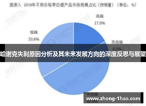 哈谢克失利原因分析及其未来发展方向的深度反思与展望