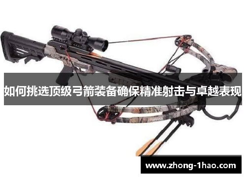 如何挑选顶级弓箭装备确保精准射击与卓越表现